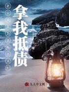 老公贷款为青梅点天灯，拿我抵债在线阅读