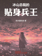 冰山总裁的贴身兵王在线阅读