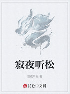 寂夜听松在线阅读