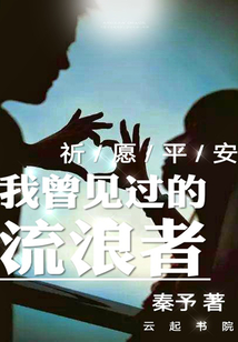 我曾見過的流浪者