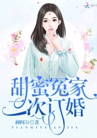 甜蜜冤家:二次订婚