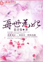 再世为妃
