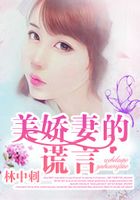 美娇妻的谎言