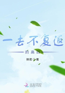 一去不復返的高四