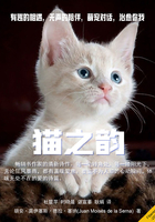 猫之韵