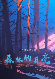 森林的月亮