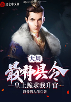 大周:最神县令,皇上跪求我升官