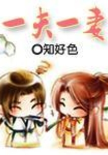 一夫一妻在线阅读