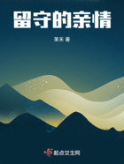 留守的亲情在线阅读