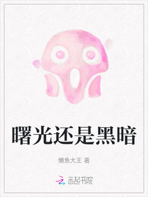 曙光还是黑暗