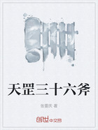天罡三十六斧在线阅读