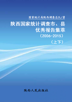 陕西国家统计调查市、县优秀报告集萃（2006—2015）（上下）在线阅读