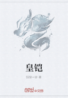 皇鎧在線閱讀
