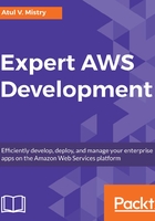 Expert AWS Development