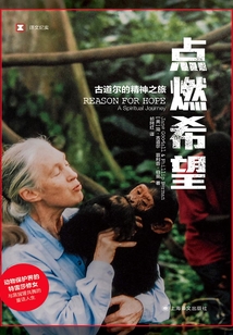 点燃希望(译文纪实)