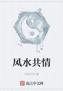 風水共情