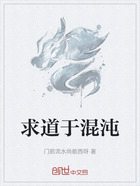求道于混沌在线阅读