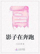 影子在奔跑在線閱讀