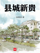 县城新贵在线阅读