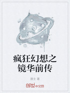 疯狂幻想之镜华前传在线阅读