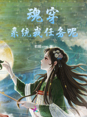 魂穿，系统我任务呢！在线阅读