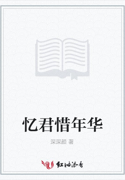 忆君惜年华 封面