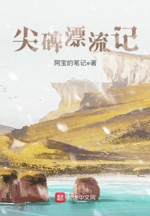 尖碑漂流记 cover