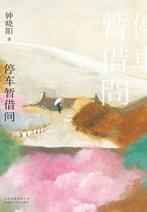 停车暂借问(2019版)