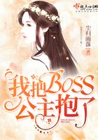 我把BOSS公主抱了在线阅读