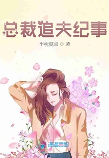 總裁追夫紀事