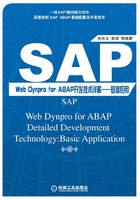 SAP Web Dynpro for ABAP开发技术详解：基础应用在线阅读