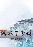 做不了帝婿就只能成賢圣在線閱讀