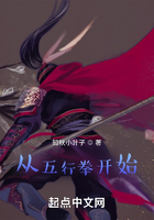 從五行拳開始在線閱讀