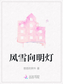 風(fēng)雪向明燈