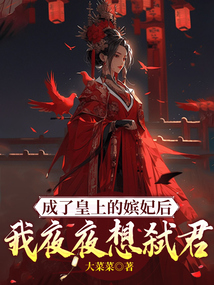 成了皇上的嬪妃后我夜夜想弒君