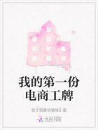 我的第一份电商工牌在线阅读