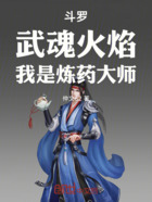 斗罗:武魂火焰,我是炼药大师在线阅读