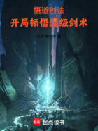 悟道创法:开局顿悟满级剑术在线阅读