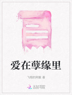 爱在孽缘里在线阅读