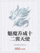 魅魔养成十二翼天使在线阅读