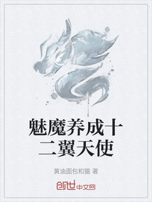 魅魔養(yǎng)成十二翼天使