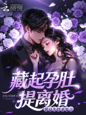 藏起孕肚提离婚,裴总失控求复合在线阅读
