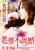先婚后爱:老婆,不离婚在线阅读