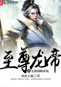 至尊龍帝之無敵輔助系統