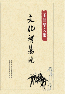 文化智慧论(王韶华文集)