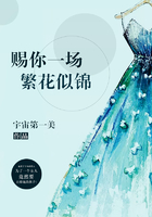 賜你一場繁花似錦在線閱讀