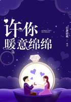 许你暖意绵绵在线阅读