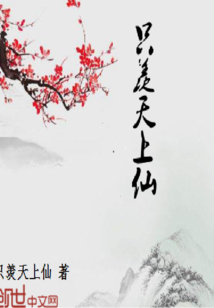 只羨天上仙