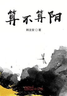 算陰不算陽