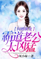 闪婚成宠,霸道老公太凶猛在线阅读